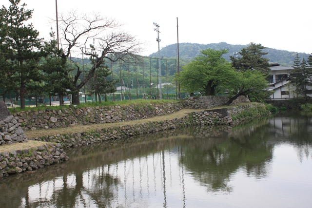 鳥取城跡・堀５の写真の写真