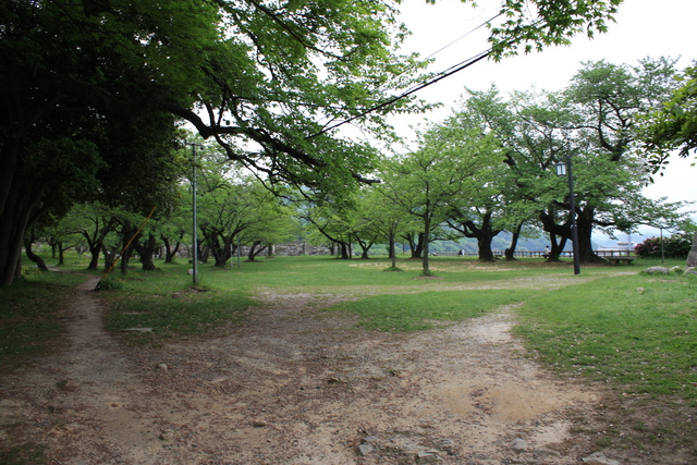 鳥取城・三の丸跡２の写真の写真