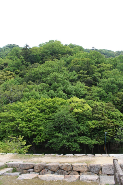 鳥取城跡７の写真の写真