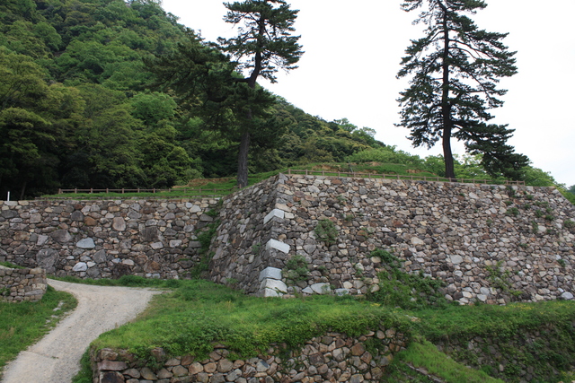 鳥取城跡１４の写真の写真
