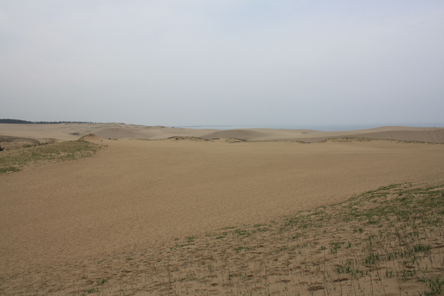 山陰海岸国立公園・天然記念物・鳥取砂丘４の写真の写真