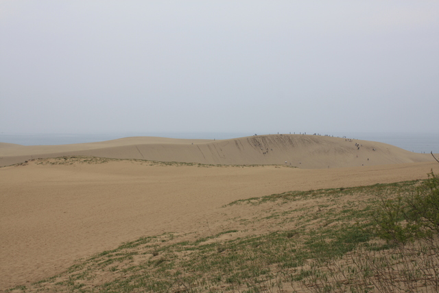 山陰海岸国立公園・天然記念物・鳥取砂丘５の写真の写真