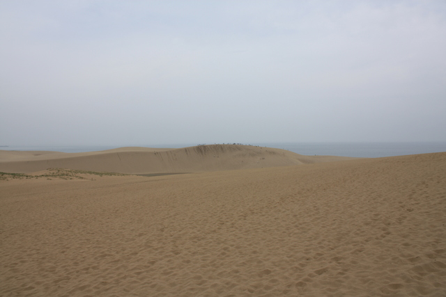 山陰海岸国立公園・天然記念物・鳥取砂丘９の写真の写真