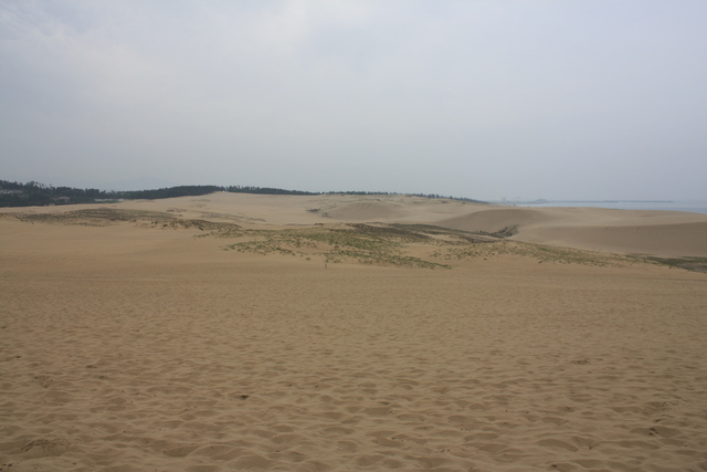 山陰海岸国立公園・天然記念物・鳥取砂丘１０の写真の写真