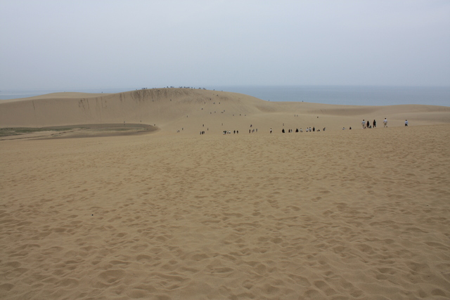 山陰海岸国立公園・天然記念物・鳥取砂丘１４の写真の写真