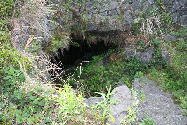 大根島の熔岩隧道２の写真の写真
