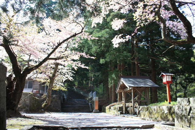 大上山神社奥宮・参道４の写真の写真