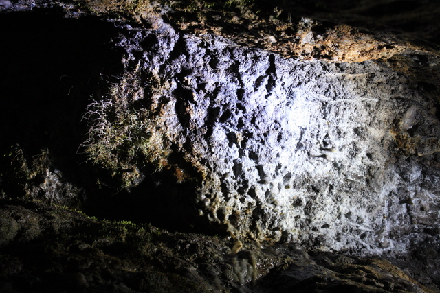 石見銀山遺跡・龍源寺間歩・鉱物が光るの写真の写真