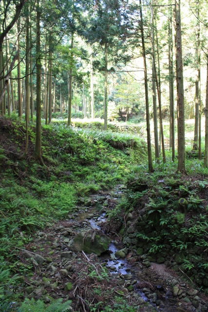 石見銀山・銀山川３の写真の写真