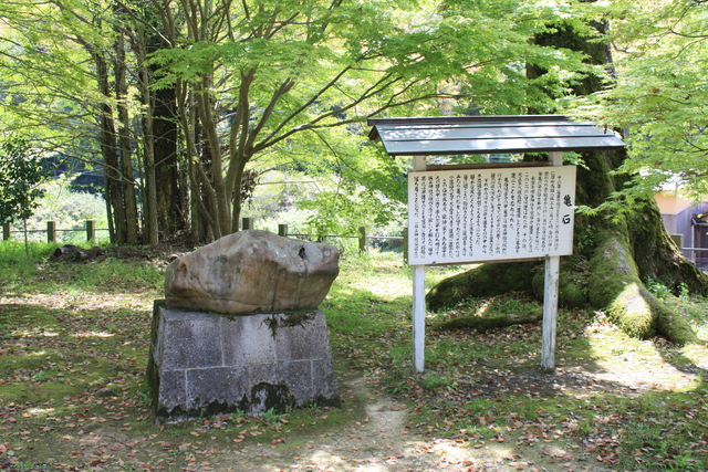 石見銀山・亀石の写真の写真