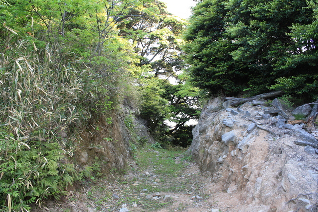 世界遺産・石見銀山遺跡・鞆ヶ浦道１１の写真の写真