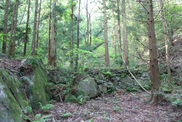 世界遺産・石見銀山遺跡・鞆ヶ浦道２１の写真の写真