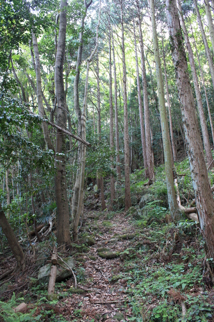 世界遺産・石見銀山遺跡・鞆ヶ浦道２９の写真の写真