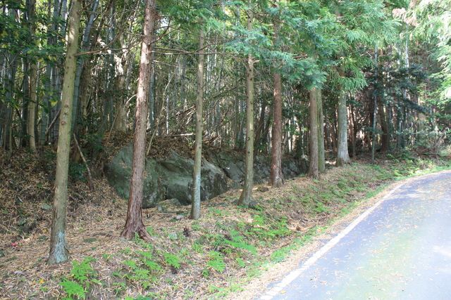 世界遺産・石見銀山遺跡・鞆ヶ浦道４２の写真の写真