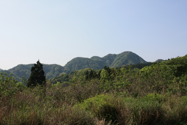 世界遺産・石見銀山遺跡・鞆ヶ浦道５０の写真の写真