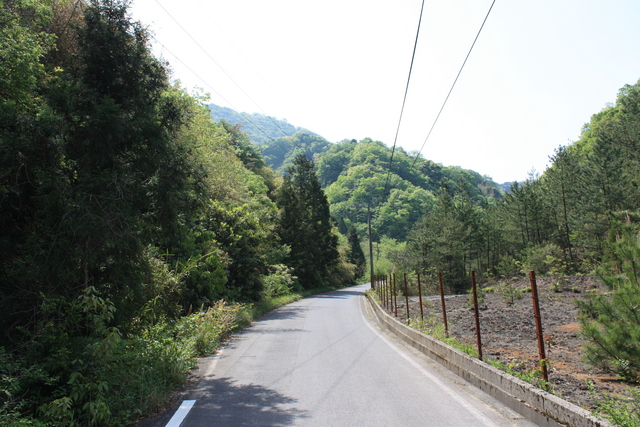 世界遺産・石見銀山遺跡・鞆ヶ浦道７３の写真の写真
