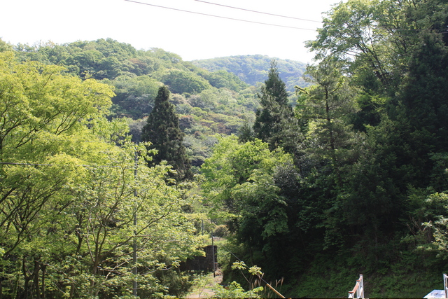 世界遺産・石見銀山遺跡・鞆ヶ浦道７５の写真の写真