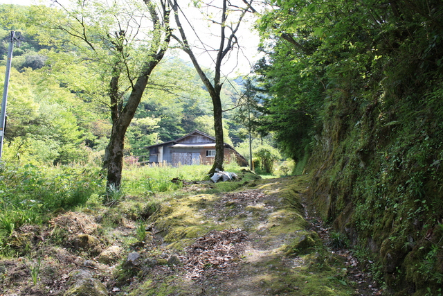 世界遺産・石見銀山遺跡・鞆ヶ浦道８７の写真の写真
