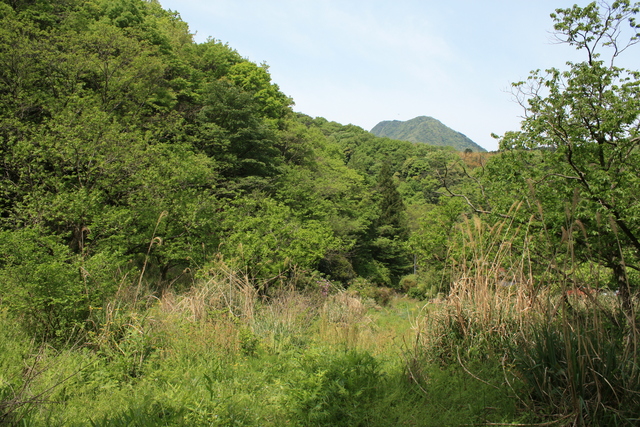 世界遺産・石見銀山遺跡・鞆ヶ浦道９９の写真の写真