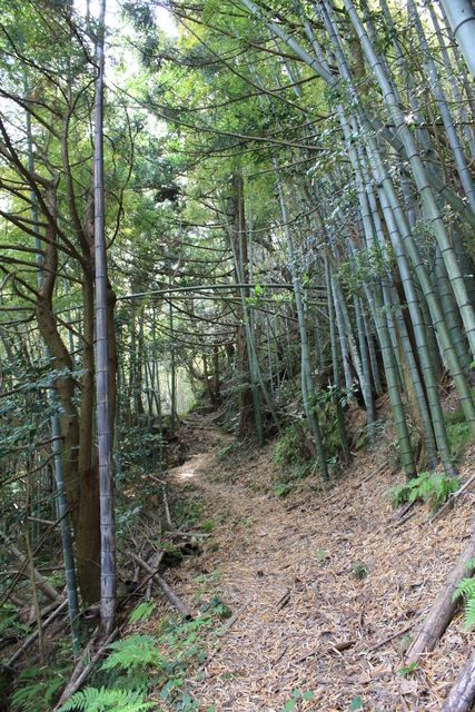 世界遺産・石見銀山遺跡・鞆ヶ浦道１０１の写真の写真