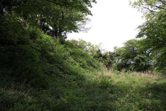 世界遺産・石見銀山遺跡・鞆ヶ浦道１１７の写真の写真