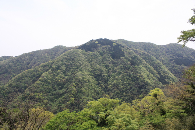 世界遺産・石見銀山遺跡・鞆ヶ浦道１２８の写真の写真