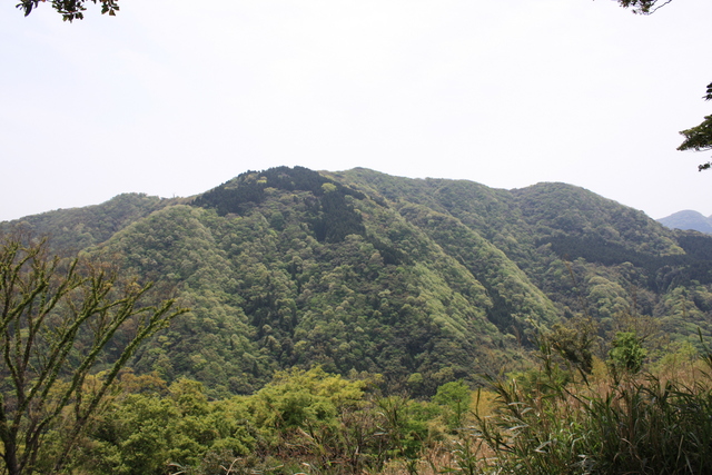 世界遺産・石見銀山遺跡・鞆ヶ浦道１３９の写真の写真
