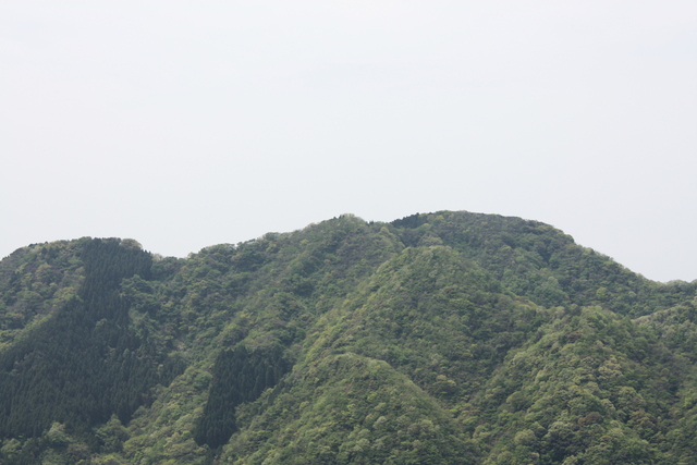 世界遺産・石見銀山遺跡・鞆ヶ浦道１４８の写真の写真