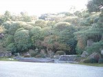 特別名勝・京都・金地院・鶴亀の庭園