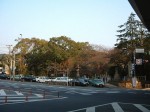 京都・大谷本廟前の交差点１