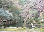 京都・知恩院・庭園の池
