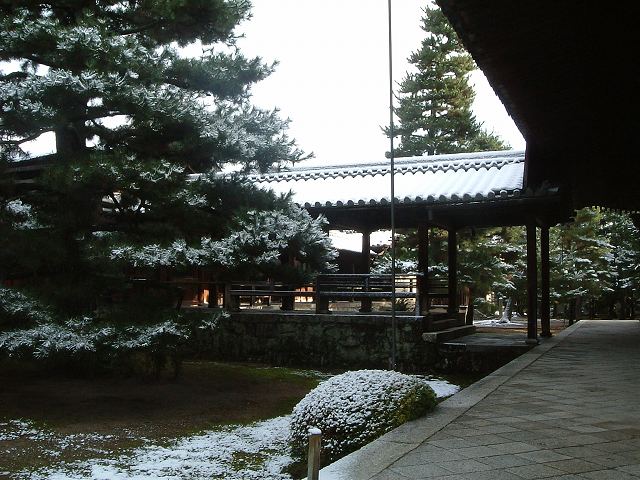 京都・大徳寺８の写真の写真