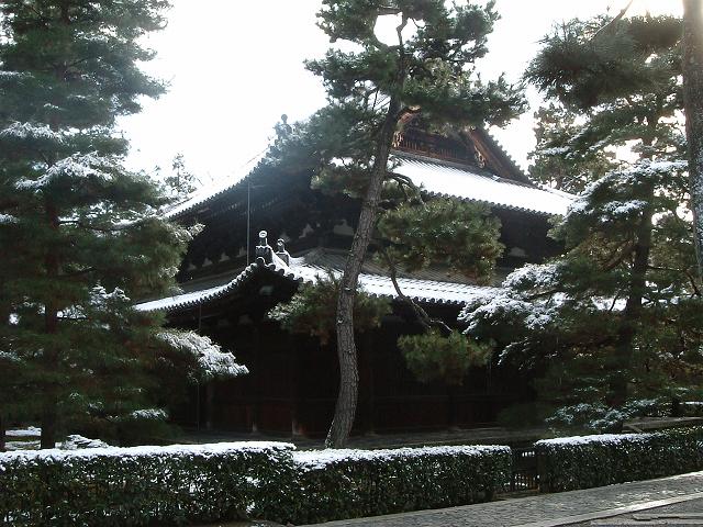 重要文化財・大徳寺法堂の写真の写真