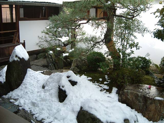 史跡・特別名勝・京都・大徳寺・大仙院・雪が積もって何がなんだかわからないの写真の写真