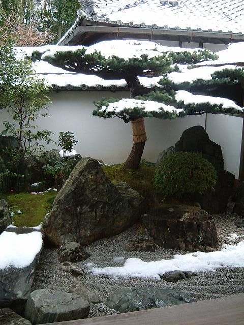 史跡・特別名勝・京都・大徳寺・大仙院の庭園にはストーリー性があるの写真の写真
