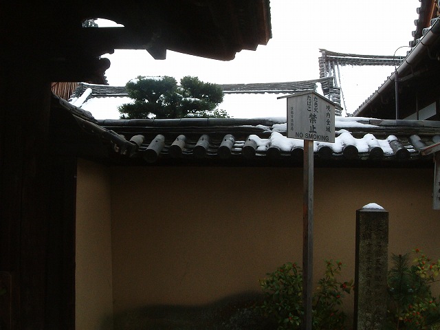 史跡・特別名勝・京都・大徳寺・大仙院・壁の向こうには何がある？の写真の写真
