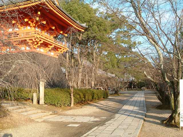 世界遺産・史跡・古都京都の文化財・仁和寺の写真の写真