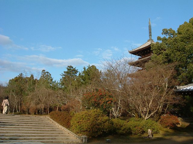世界遺産・京都・仁和寺６の写真の写真