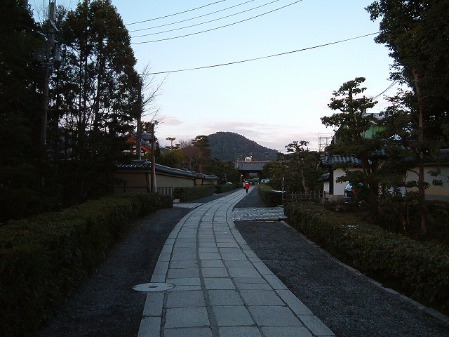 京都・妙心寺１の写真の写真