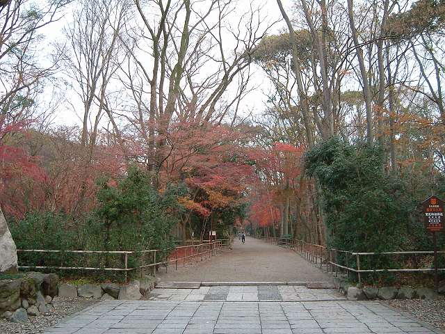 世界遺産・京都・下鴨神社・境内の参道の写真の写真