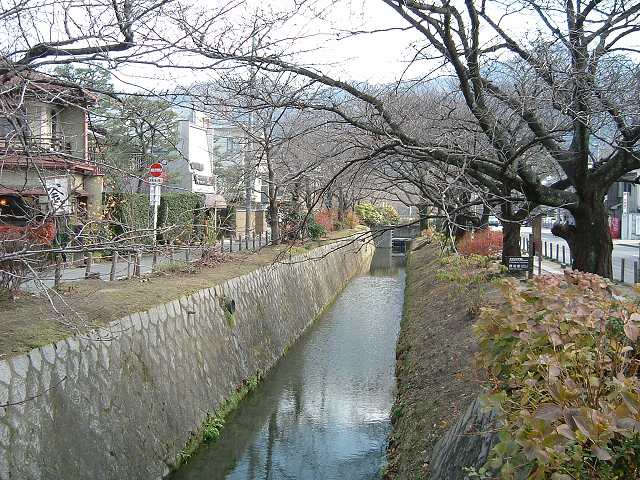 京都・銀閣寺前・哲学の道の写真の写真