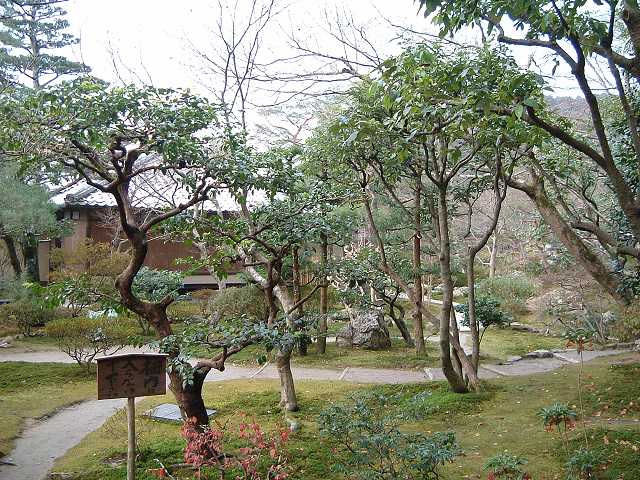 世界遺産・特別史跡・特別名勝・京都・銀閣寺・木々に囲まれる東求堂の写真の写真