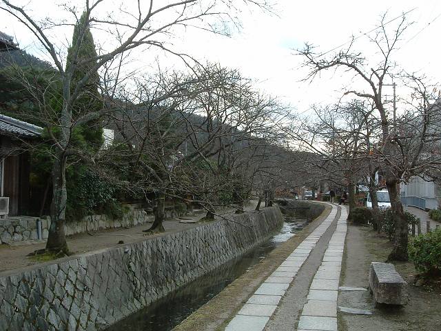京都・哲学の道の写真の写真