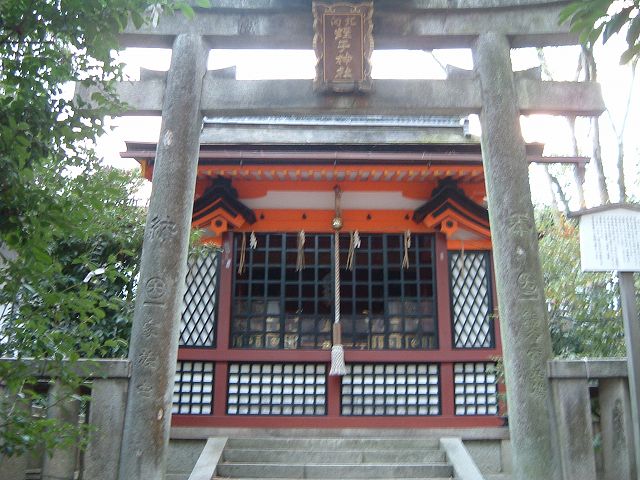 重要文化財・八坂神社末社蛭子社社殿の写真の写真