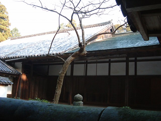 姫路・円教寺・妙光院の写真の写真