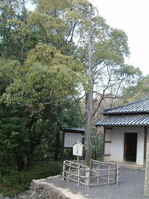 屋島・四国村・木製の火の見櫓の写真の写真