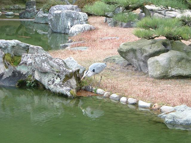 高松・特別名勝・栗林公園・庭園１２の写真の写真