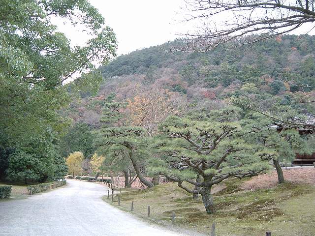 高松・特別名勝・栗林公園・庭園２２の写真の写真