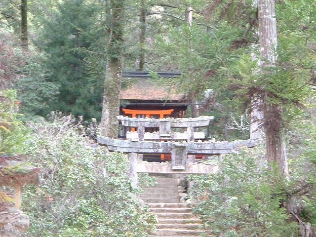 世界遺産・宮島・弥山・神社が見えるの写真の写真