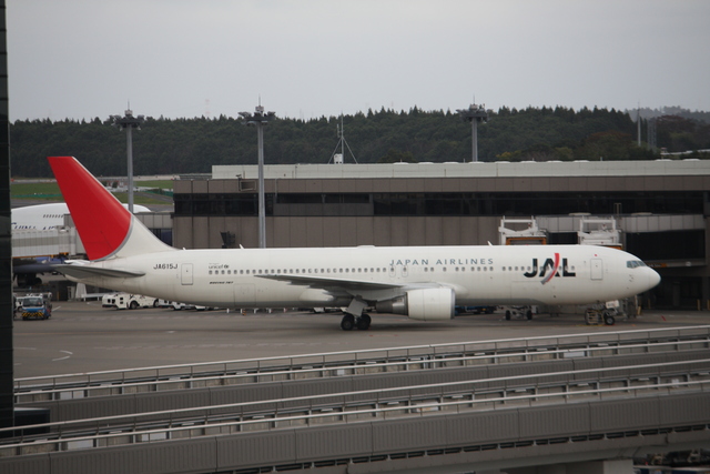 JAL・B767-300ERの写真の写真
